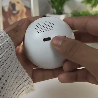 ITOSHISA™ メモリア・クリスタル | 想い出を映すパーソナライズ動画オーブ